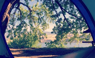 Alicia F.'s photo at Memaloose State Park Campground near Underwood, WA