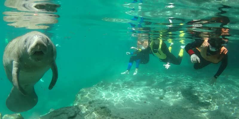 Camper submitted image from Cristal Camping ποΈ Fl