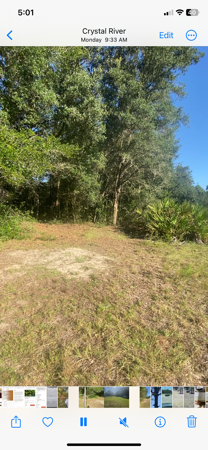 Camper-submitted photo at Cristal Camping 🏕️ Fl near Crystal River, FL