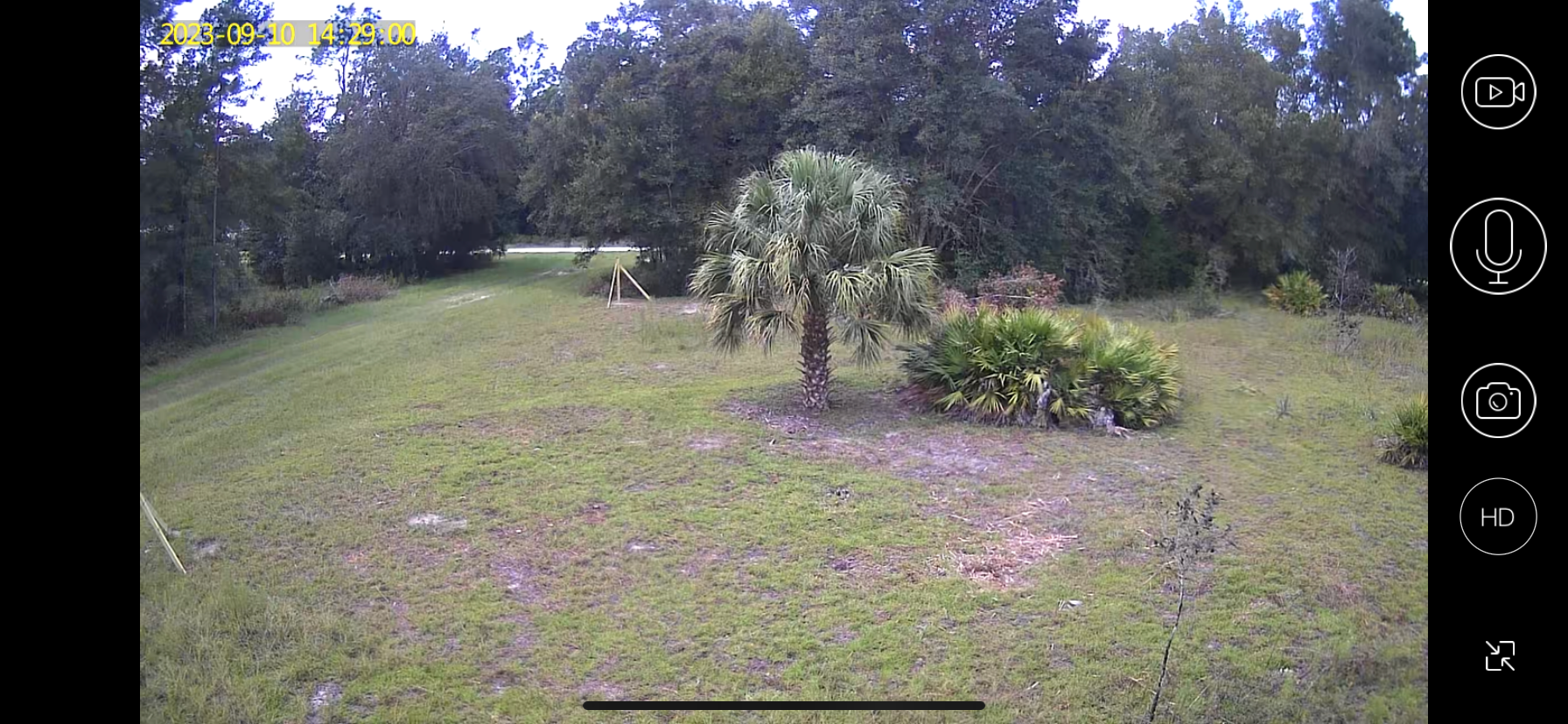 Camper-submitted photo at Cristal Camping 🏕️ Fl near Crystal River, FL