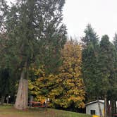 Review photo of Mt. St. Helens RV Park by Alicia F., October 31, 2018