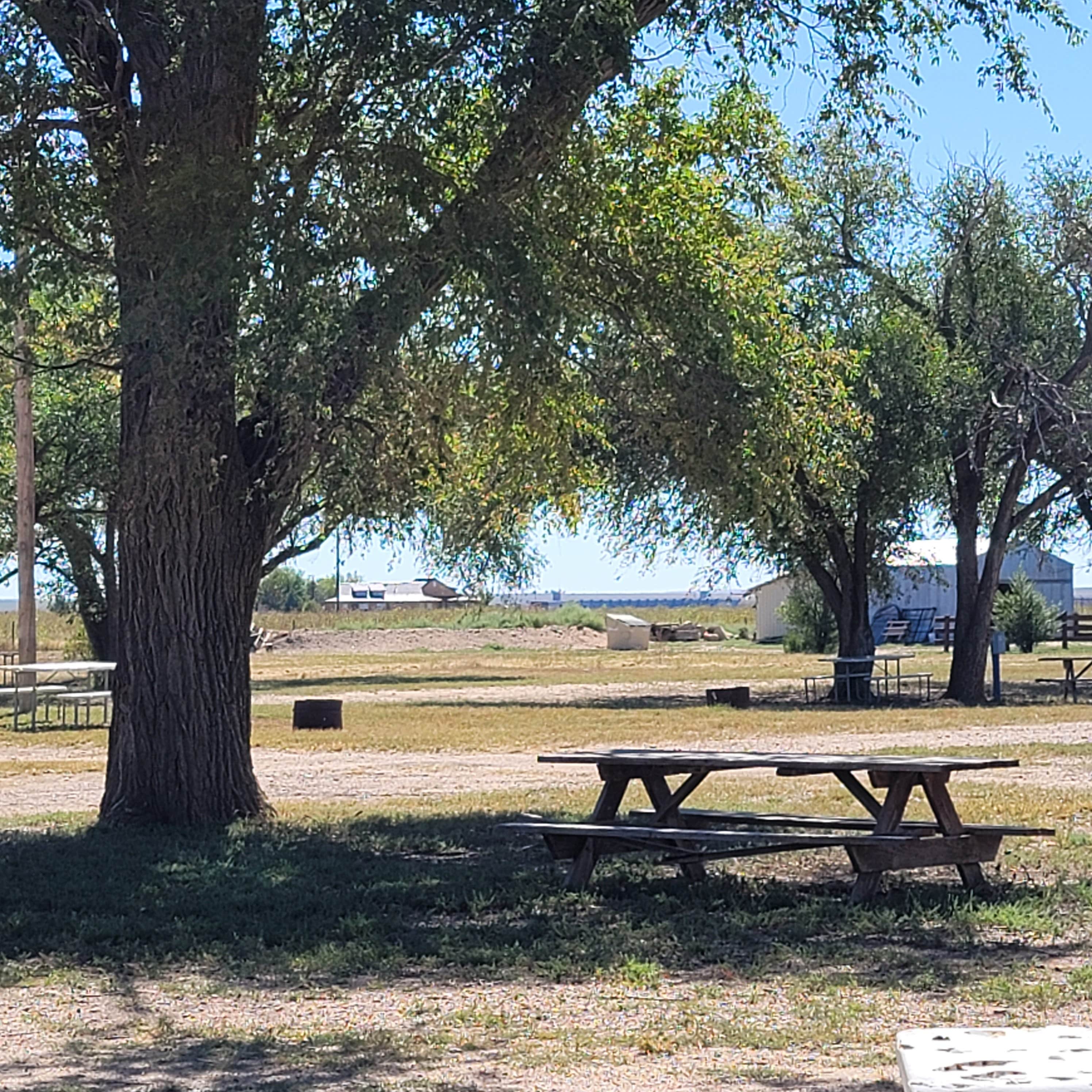 Camper-submitted photo at Mapes Lakeview RV Campground near Pritchett, CO