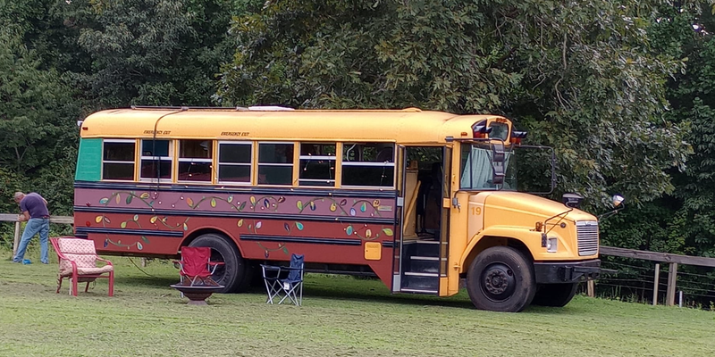 Camper submitted image from RocknRose Horses and Hospitality