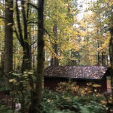 Review photo of Seaquest State Park Campground by Alicia F., October 31, 2018