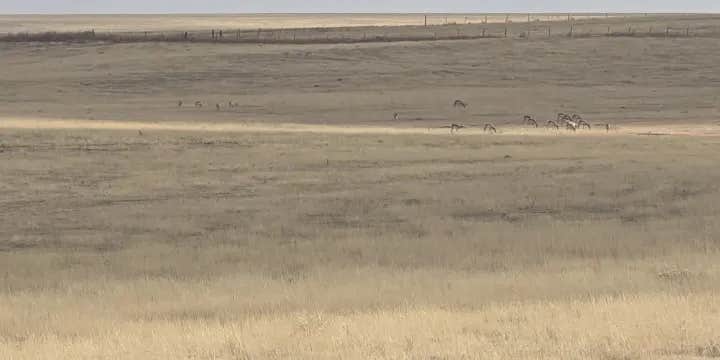 Camper submitted image from Goose Creek Ranch