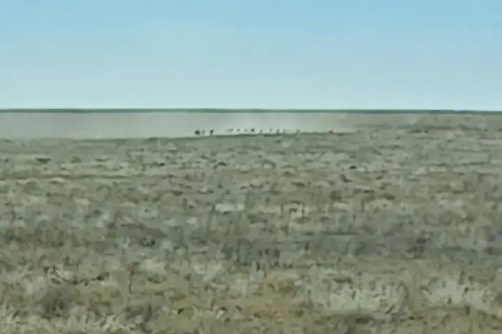 Camper-submitted photo at Goose Creek Ranch near Calhan, CO