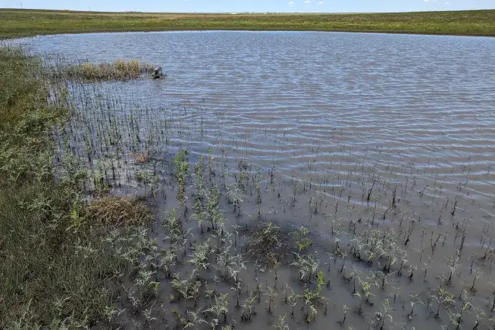 Camper-submitted photo at Goose Creek Ranch near Calhan, CO