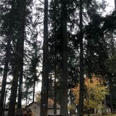 Review photo of Silver Lake Resort by Alicia F., October 31, 2018