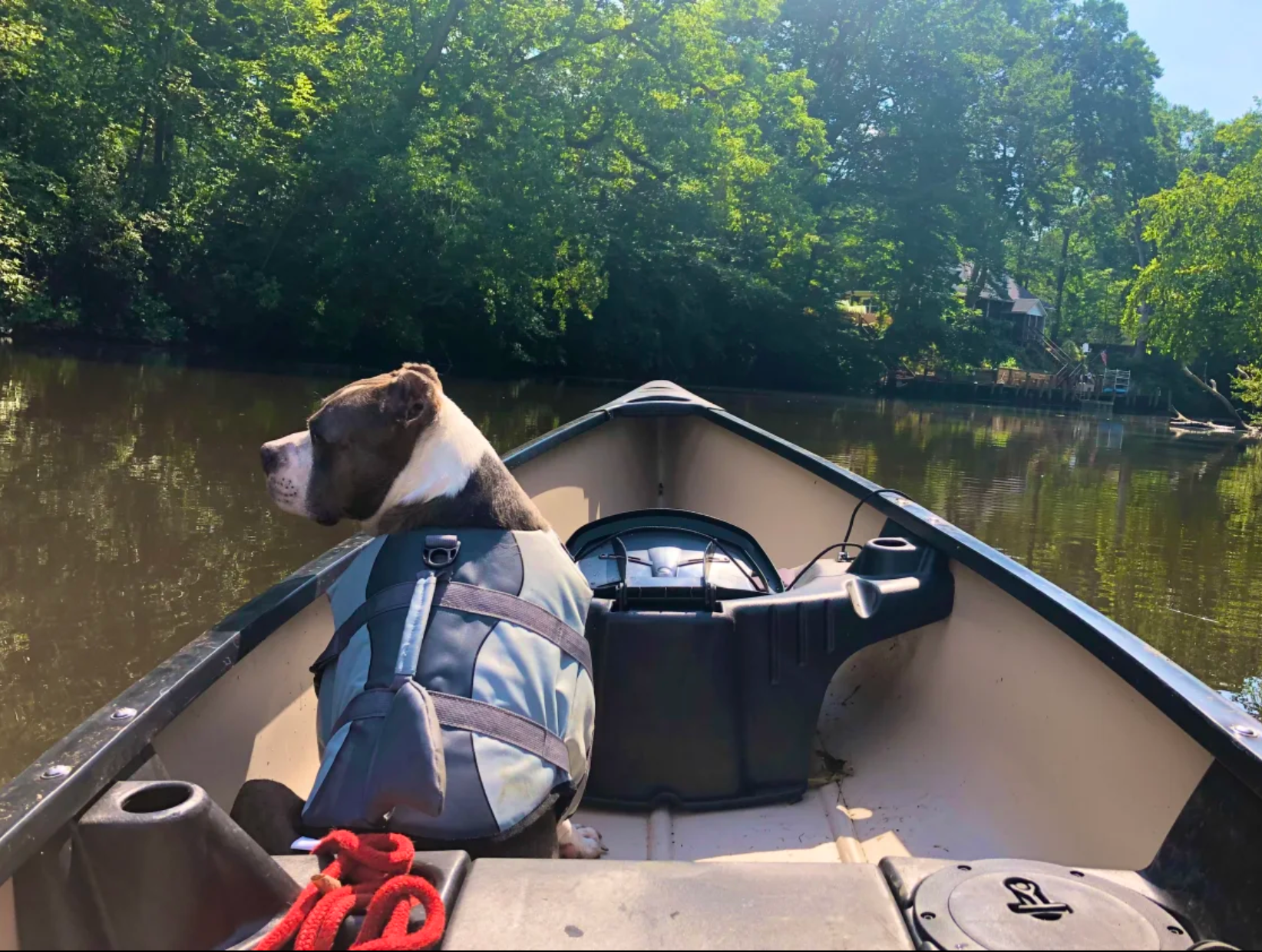 Ashley F.'s photo of camping with pets at Canoein’ Sue’s near Wilmington, DE