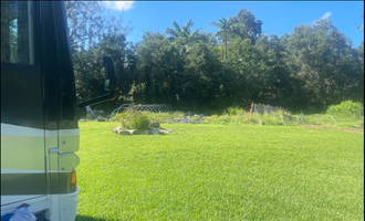 Camping near Holiday Park: Honey’s place , North Miami, Florida