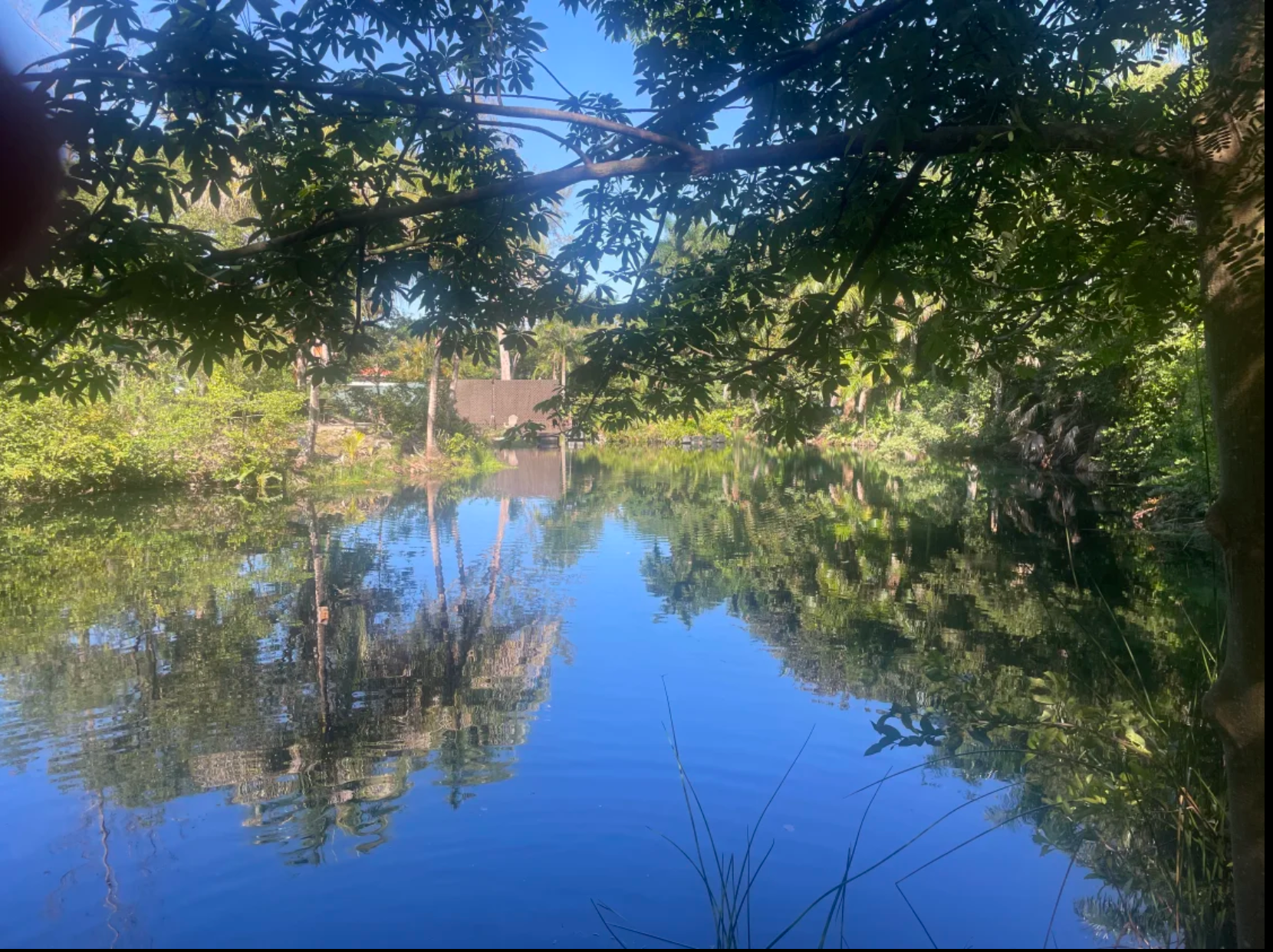 Camper-submitted photo at Honey’s place near North Miami, FL