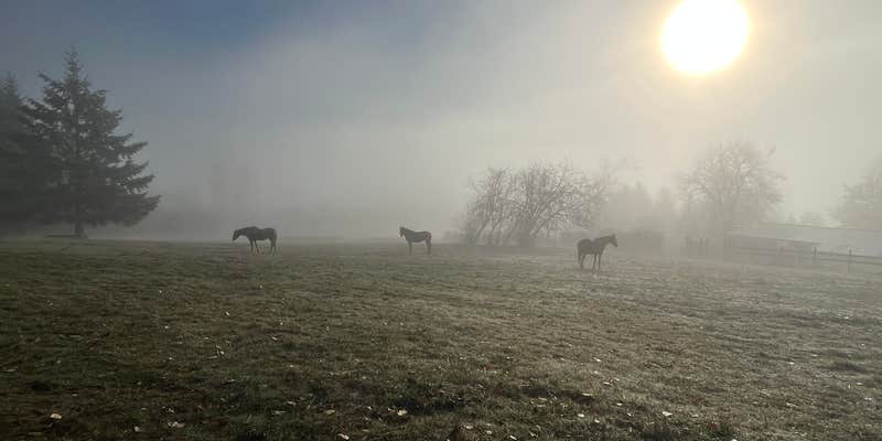 Camper submitted image from Pendarvis Farm