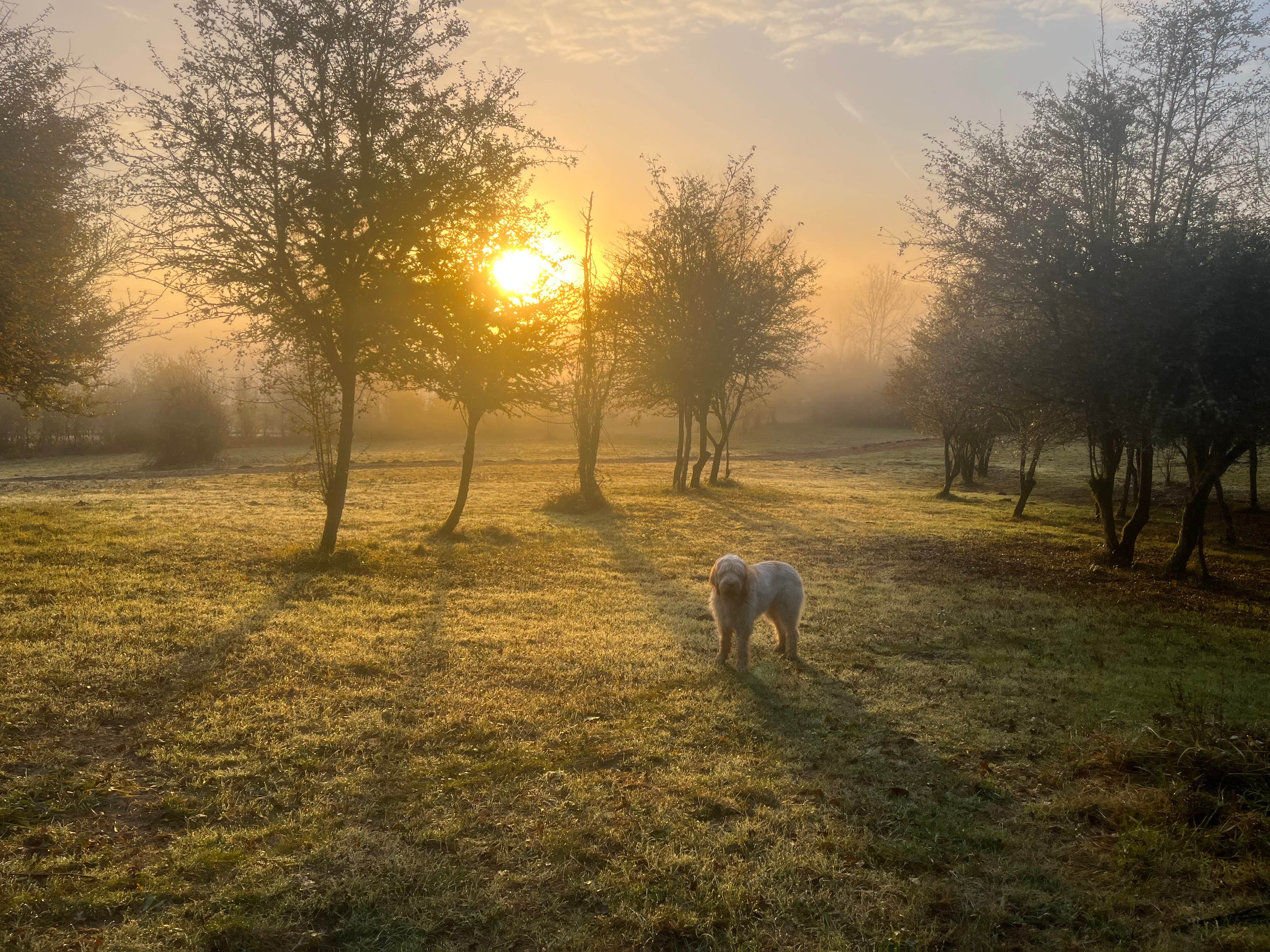 Sherry P.'s photo of camping with pets at Pendarvis Farm near Sandy, OR