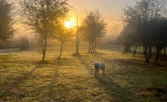 Sherry P.'s photo of camping with pets at Pendarvis Farm near Beaverton, OR