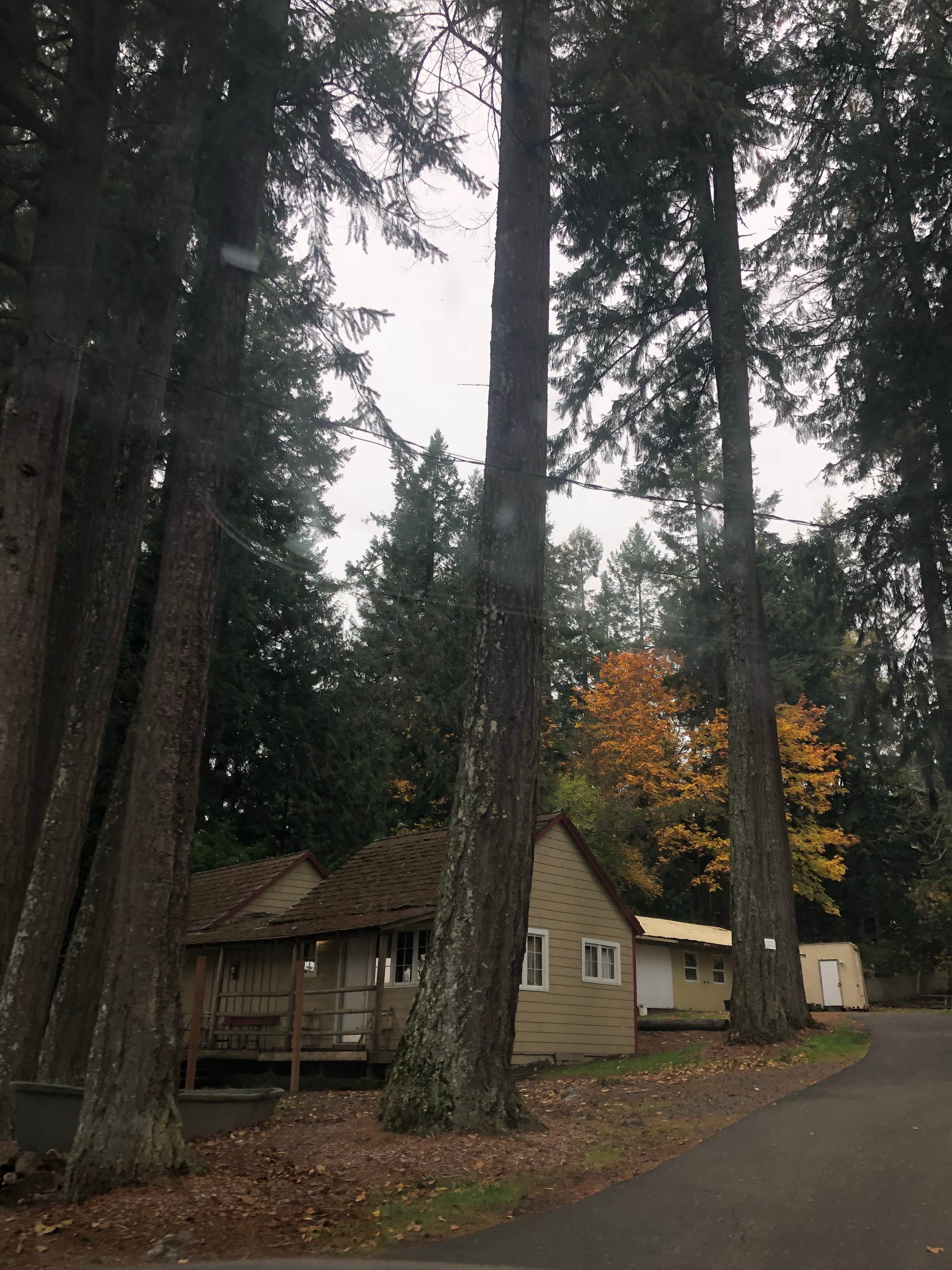 Camper submitted image from Silver Lake Resort - 3