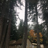 Review photo of Silver Lake Resort by Alicia F., October 31, 2018