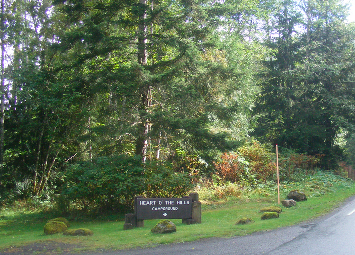 Camper submitted image from Heart O' the Hills Campground — Olympic National Park - 2