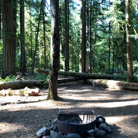Fire pit and sites at Indian Henry campground