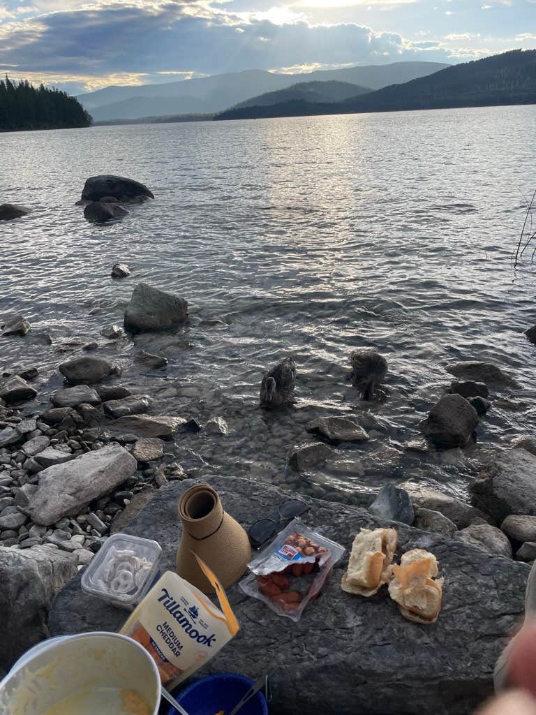 Camper-submitted photo at Ashley Lake South Campground near Somers, MT