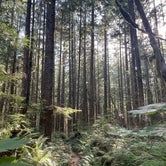 Review photo of Heart O' the Hills Campground — Olympic National Park by Emily T., September 22, 2023
