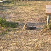 Review photo of Sage Creek Campground by Emily T., September 22, 2023