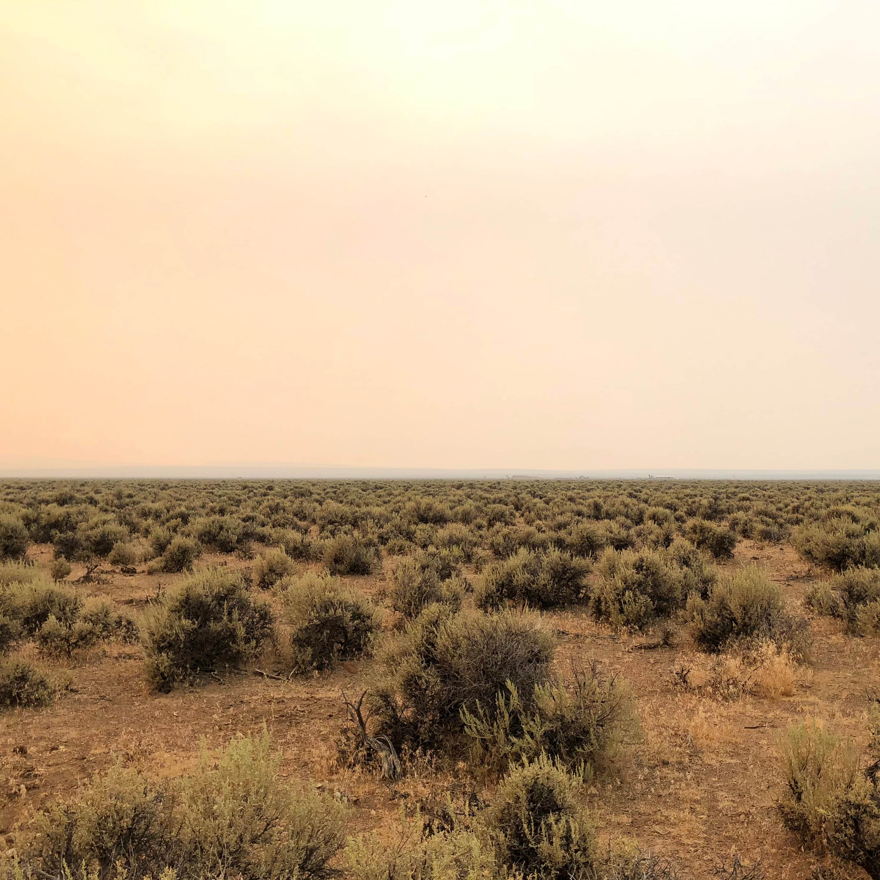 Oregon Sunstone Public Collection Area Camping The Dyrt