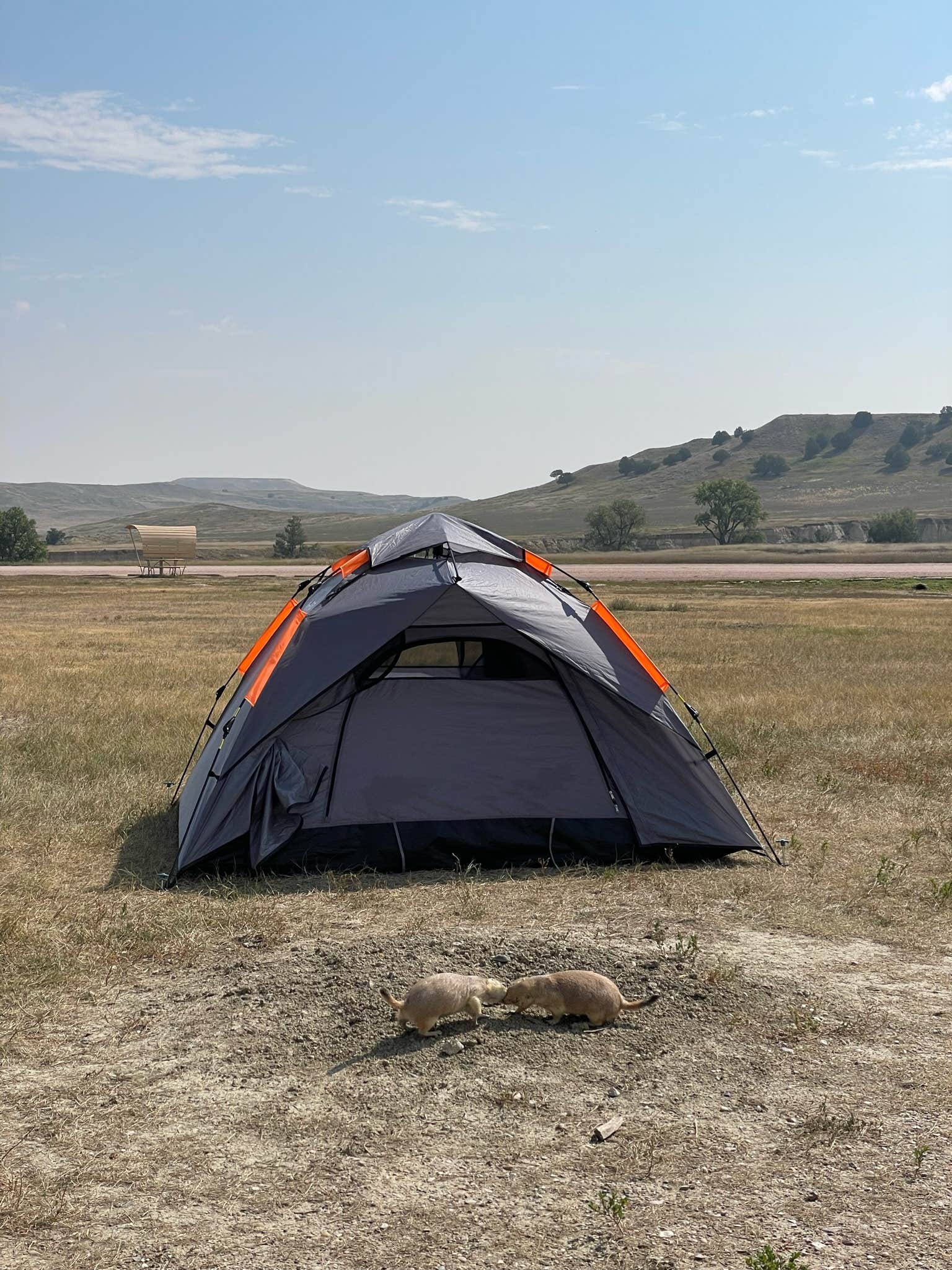 Tente De Camping Easy Up 3 MCKINLEY