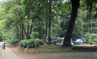 Corinna B.'s photo at Henry Rierson Spruce Run Campground near Vernonia, OR