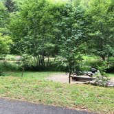 Review photo of Henry Rierson Spruce Run Campground by Corinna B., October 31, 2018