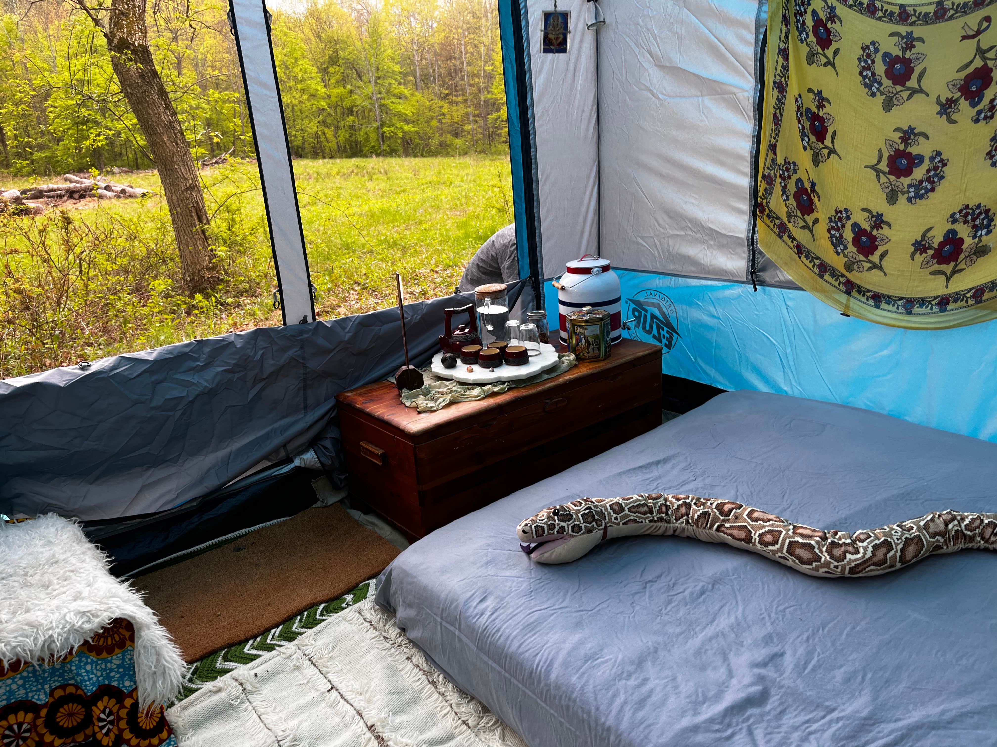 Camper-submitted photo at Abracadabra magic farm near Guilderland, NY