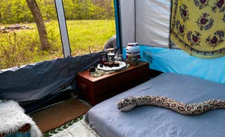 Dilara E.'s photo at Abracadabra magic farm near Latham, NY