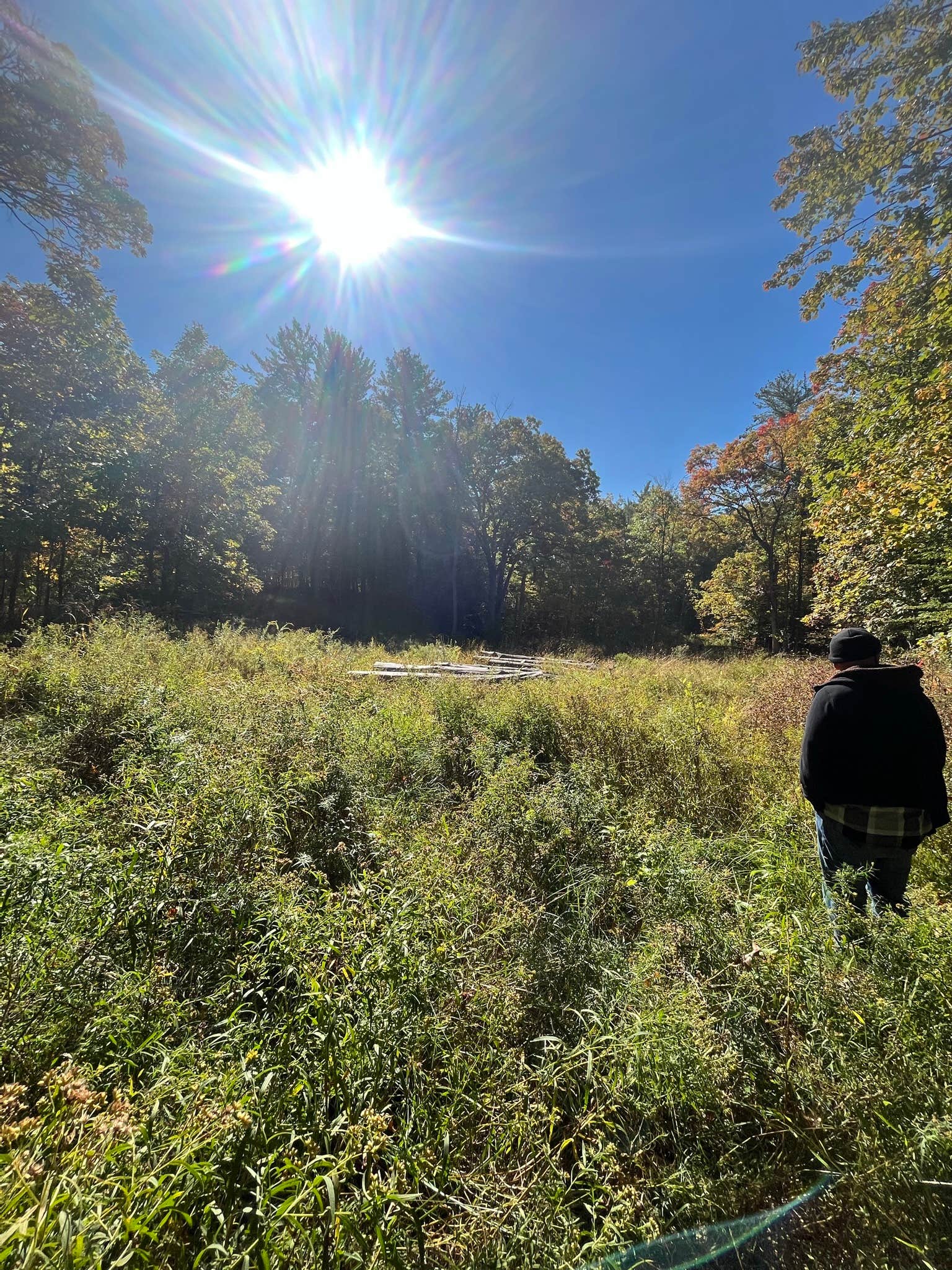 Camper-submitted photo at Abracadabra magic farm near Guilderland, NY
