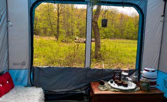 Dilara E.'s photo at Abracadabra magic farm near Nassau, NY