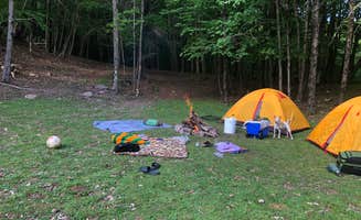 Dilara E.'s photo of camping with pets at Abracadabra magic farm near Fultonham, NY