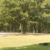 Review photo of Big Spring Campground — Ozark National Scenic Riverway by Chelsea G., September 23, 2023