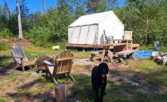 The Dyrt's photo of camping with pets at Tentrr Signature Site - Fordy Acres near Hanover, NH