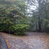 Review photo of Grayson Highlands State Park by Stephanie J., October 31, 2018