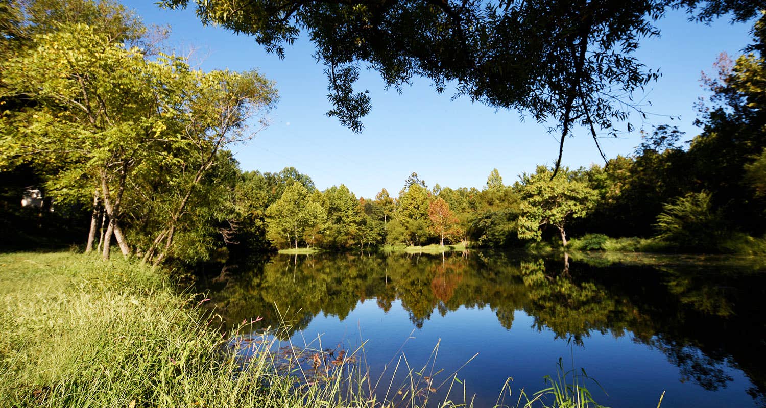 Graves Mountain Farm Campground