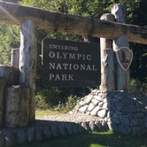 Review photo of Graves Creek Campground — Olympic National Park by Alison C., October 25, 2018