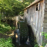 Review photo of Elkmont Campground — Great Smoky Mountains National Park by Alison C., October 8, 2018