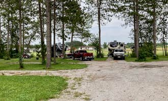 Camping near Bayview Lodge: Marina Drive Campground, Birchdale, Minnesota