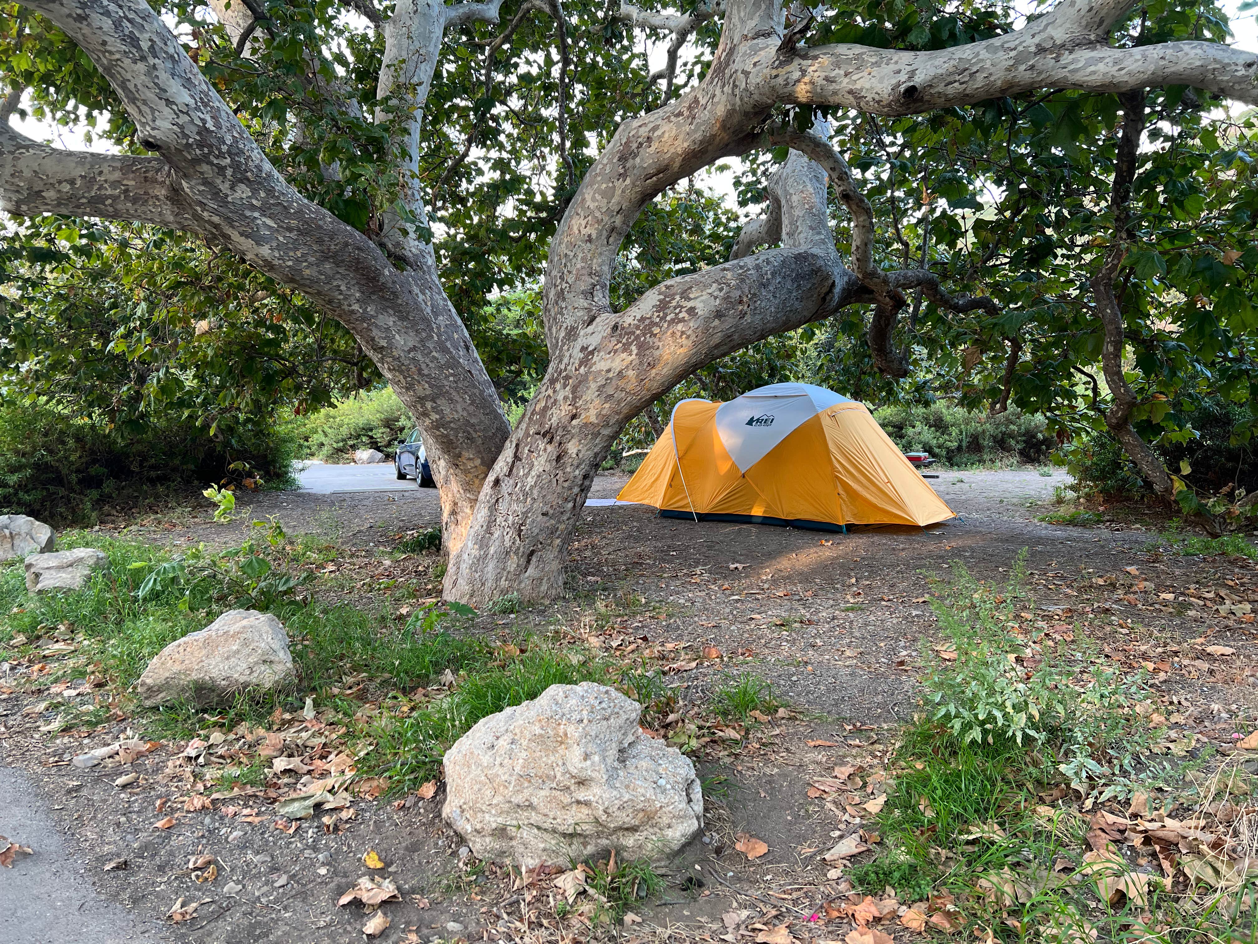 Corey B.'s photo at Canyon Campground — Leo Carrillo State Park Campground near Calabasas, CA