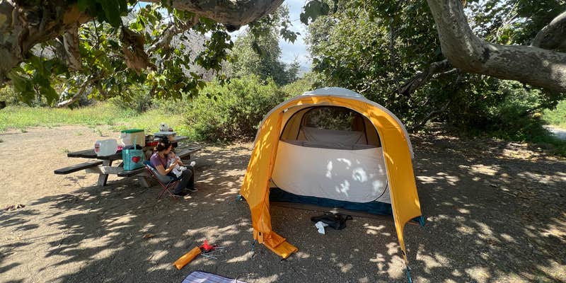 Camper submitted image from Canyon Campground — Leo Carrillo State Park Campground