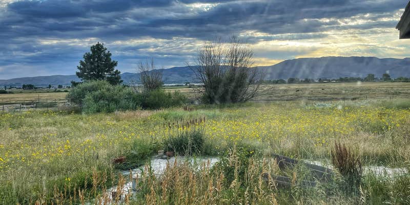 Camper submitted image from Olde LYFE Alpacas on Davis Ranch