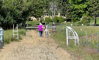 Stacey P.'s photo of camping with pets at Olde LYFE Alpacas on Davis Ranch near Carson City, NV