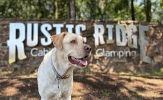 Tara H.'s photo of camping with pets at Rustic Ridge near Lincoln, AR