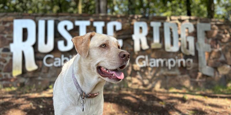 Camper submitted image from Rustic Ridge