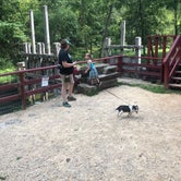 Review photo of Alley Spring Campground — Ozark National Scenic Riverway by Shelly S., October 31, 2018