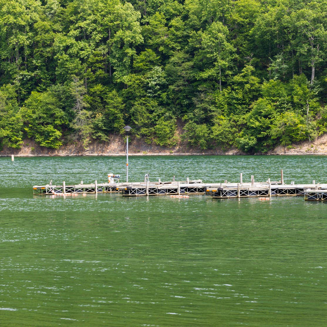Bolar Mountain Recreation Area Camping | Hot Springs, Virginia