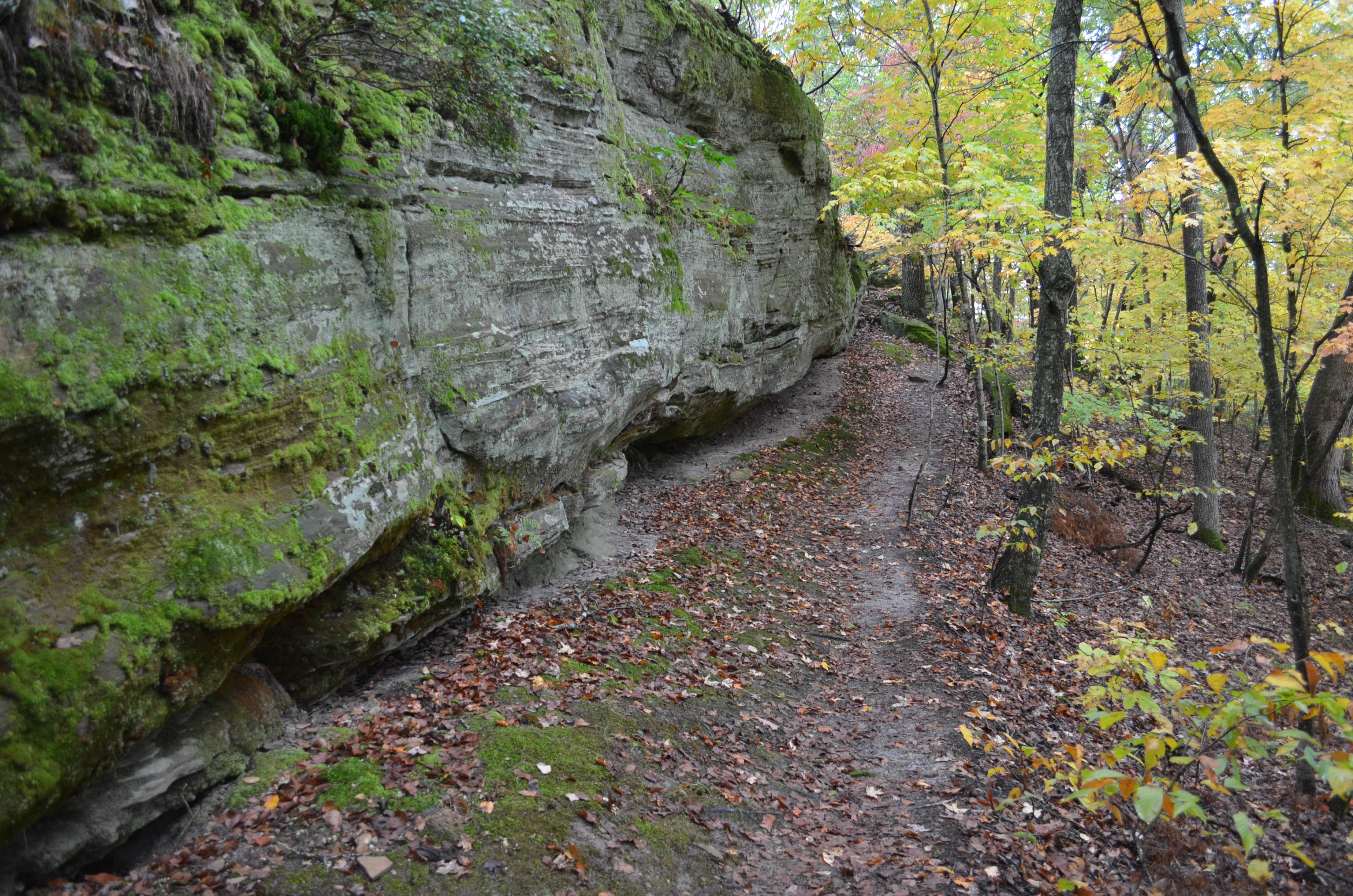 Camper submitted image from James Kipp Campground - 2